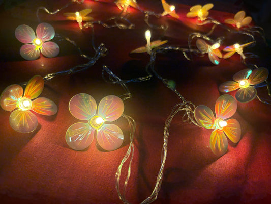 Decorative lights