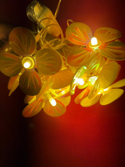 Decorative lights