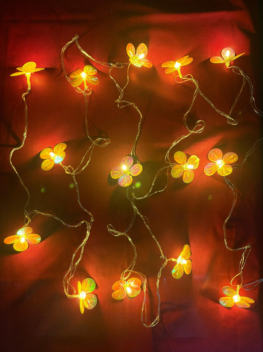 Decorative lights
